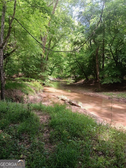 0 Pulliam Mill Road Dewy Rose, GA 30634 - Photo 4 of 13