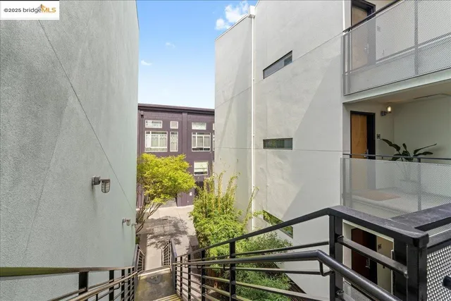 a view of path along with trees