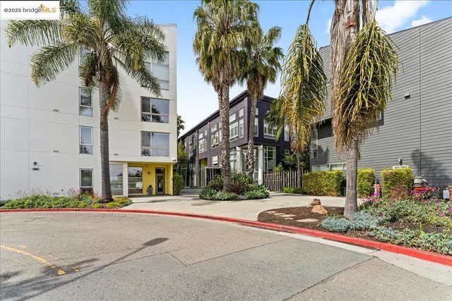 a view of a street with palm trees