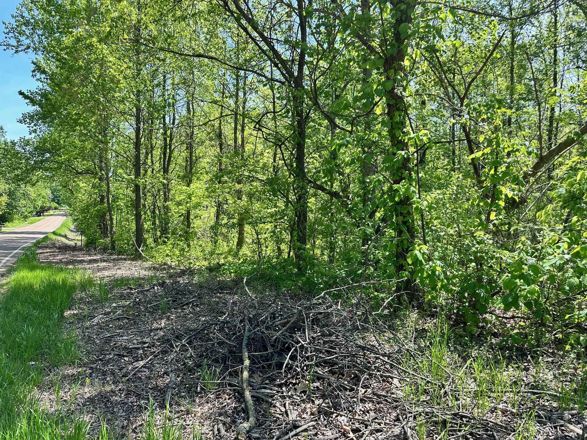 0 Arp Central Road, Ripley, TN 38063 Compass