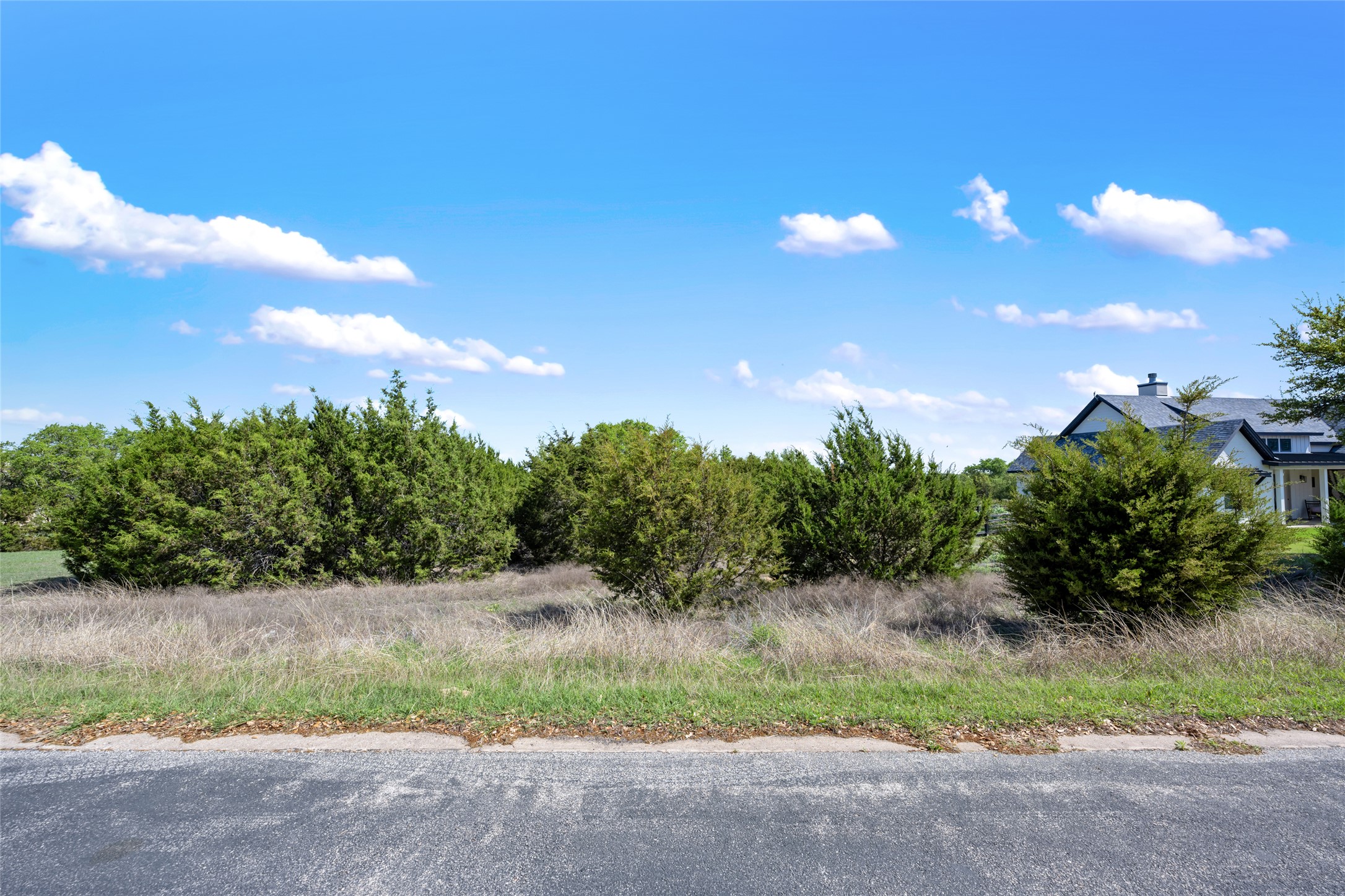 332 First Down Dash Burnet, TX 78611 - Photo 13 of 25 a view of a yard with plants and a yard