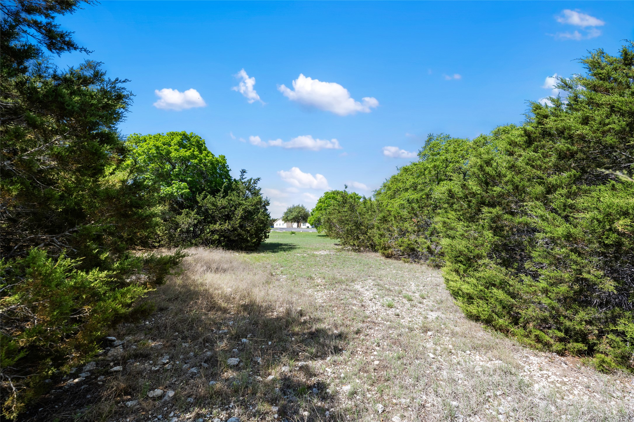 332 First Down Dash Burnet, TX 78611 - Photo 16 of 25 a view of a field with trees in the background