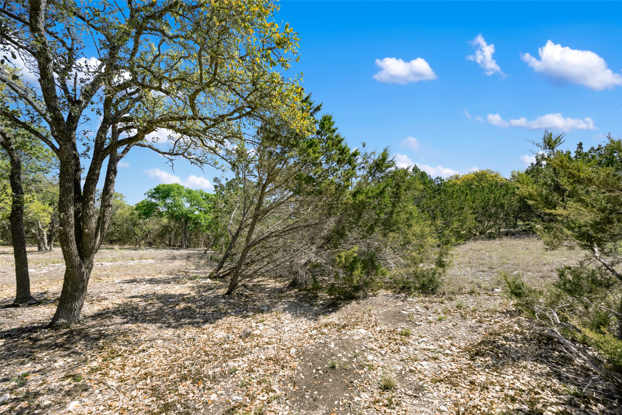 332 First Down Dash Burnet, TX 78611 - Photo 17 of 25 a view of a yard with a tree