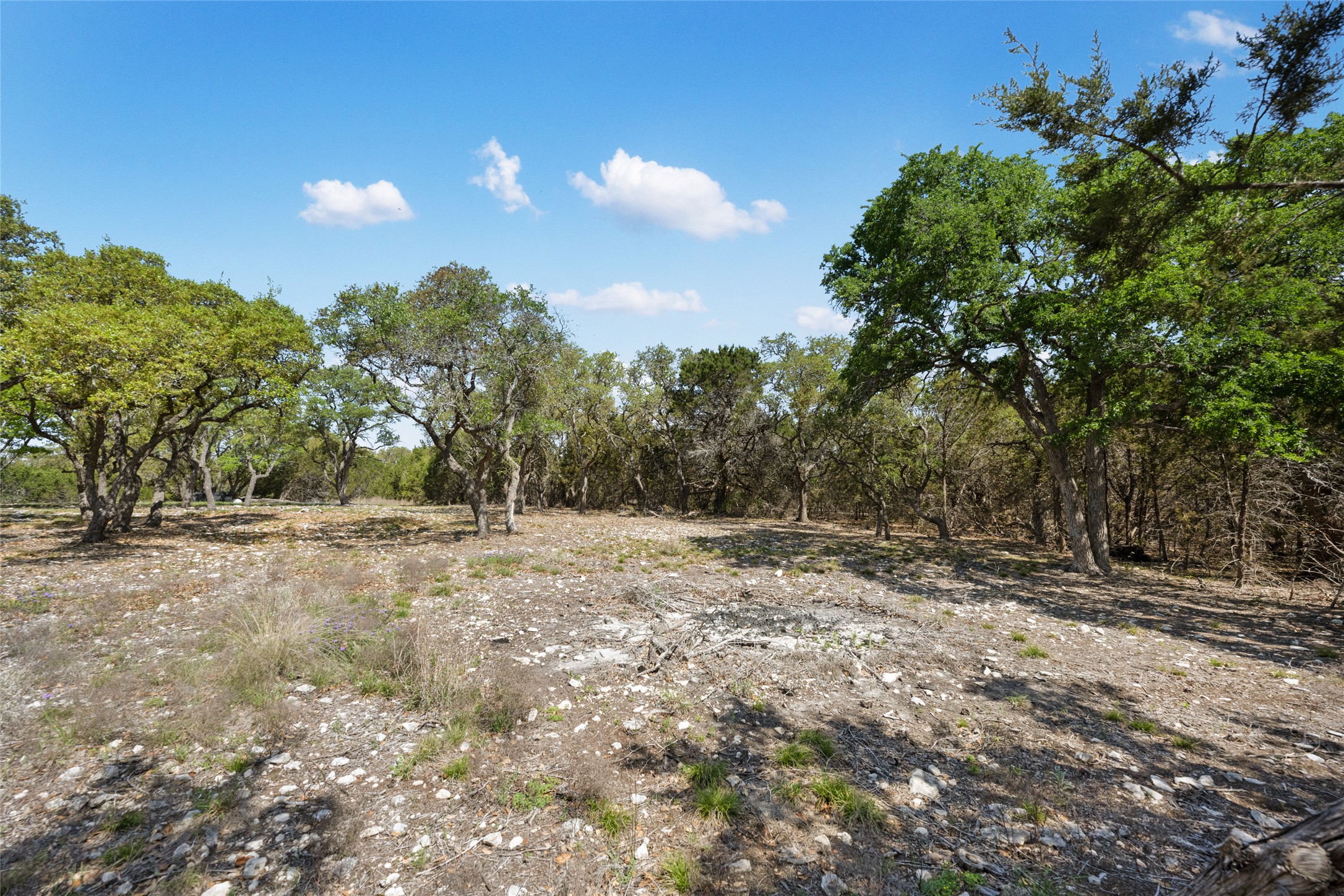 332 First Down Dash Burnet, TX 78611 - Photo 18 of 25 a view of a yard with trees in the background