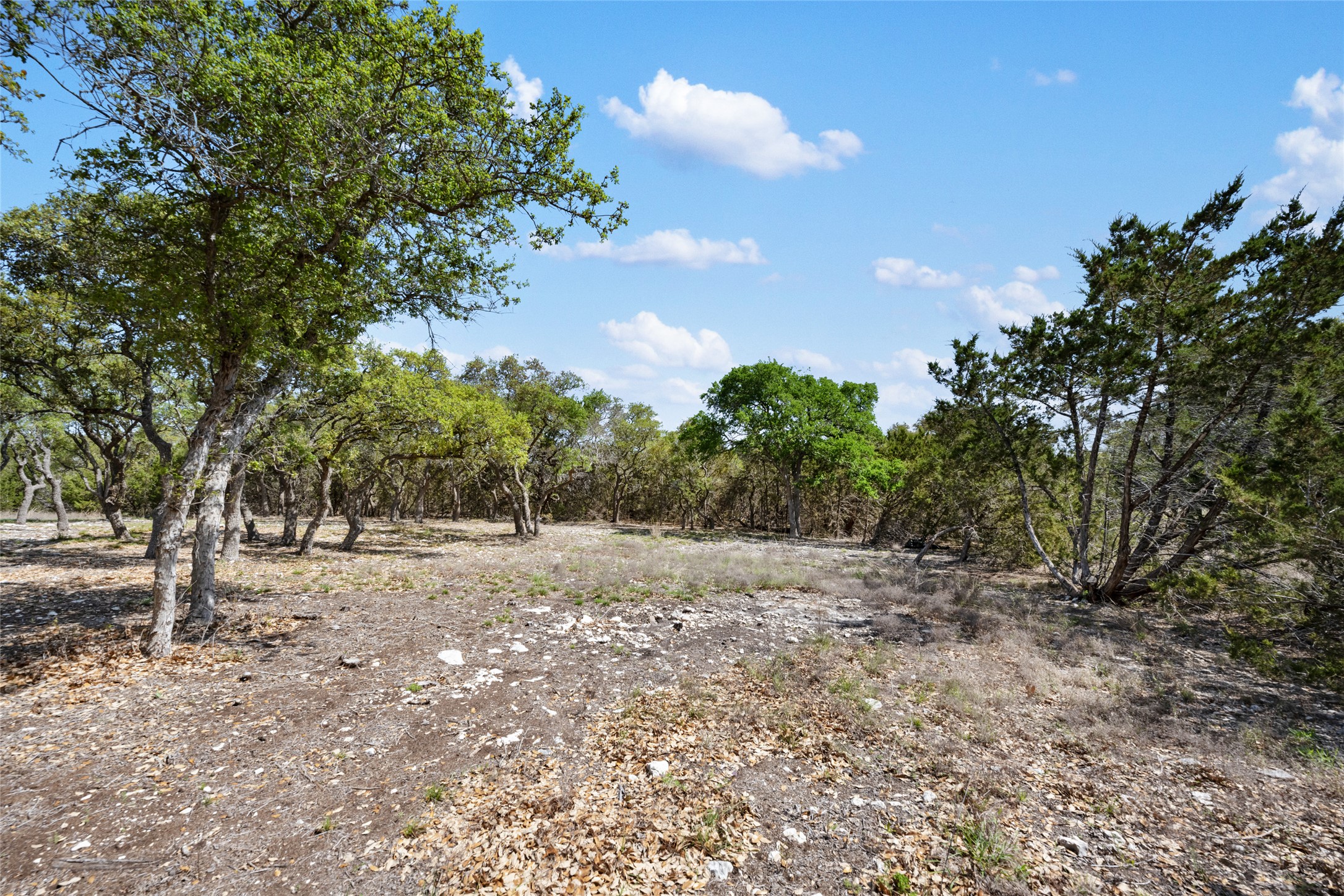 332 First Down Dash Burnet, TX 78611 - Photo 19 of 25 a view of dirt yard with a trees