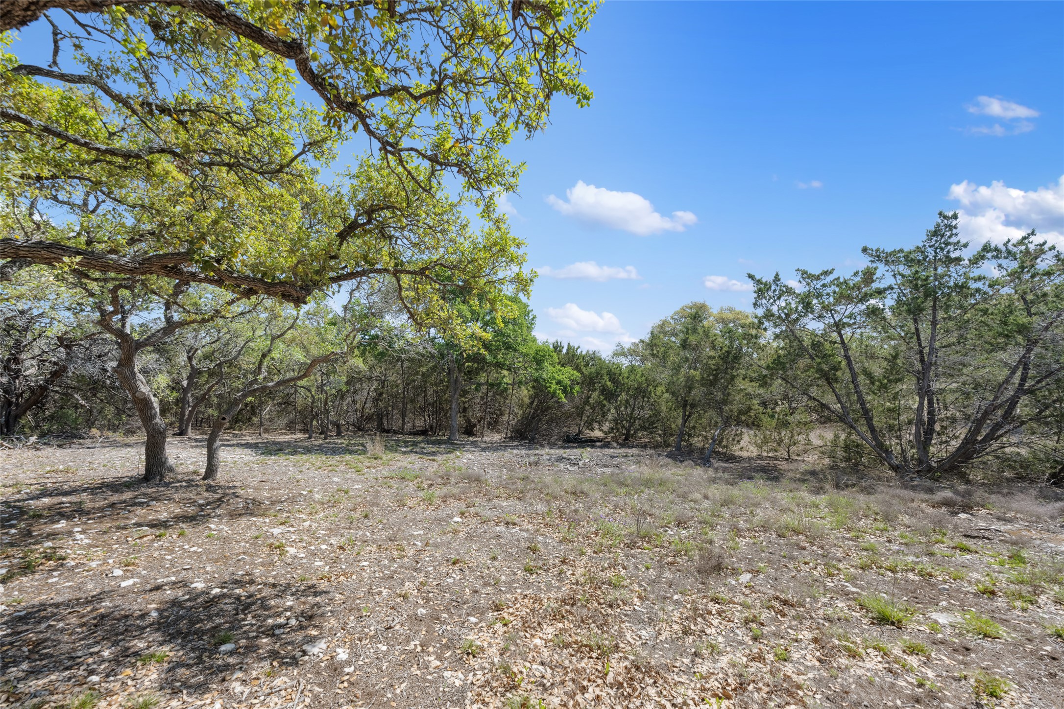 332 First Down Dash Burnet, TX 78611 - Photo 20 of 25 a view of a yard with a tree