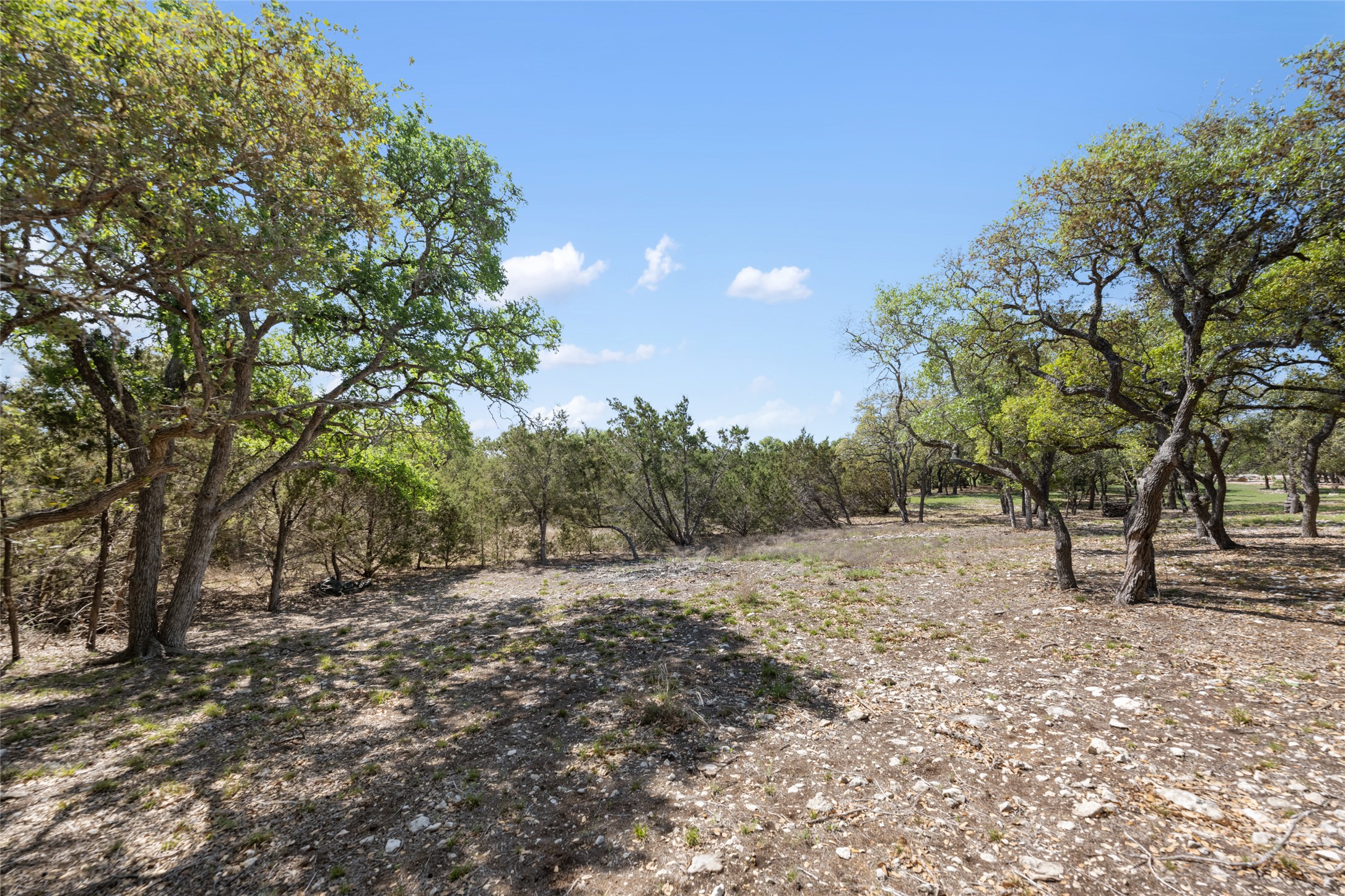 332 First Down Dash Burnet, TX 78611 - Photo 21 of 25 a view of dirt yard with a tree