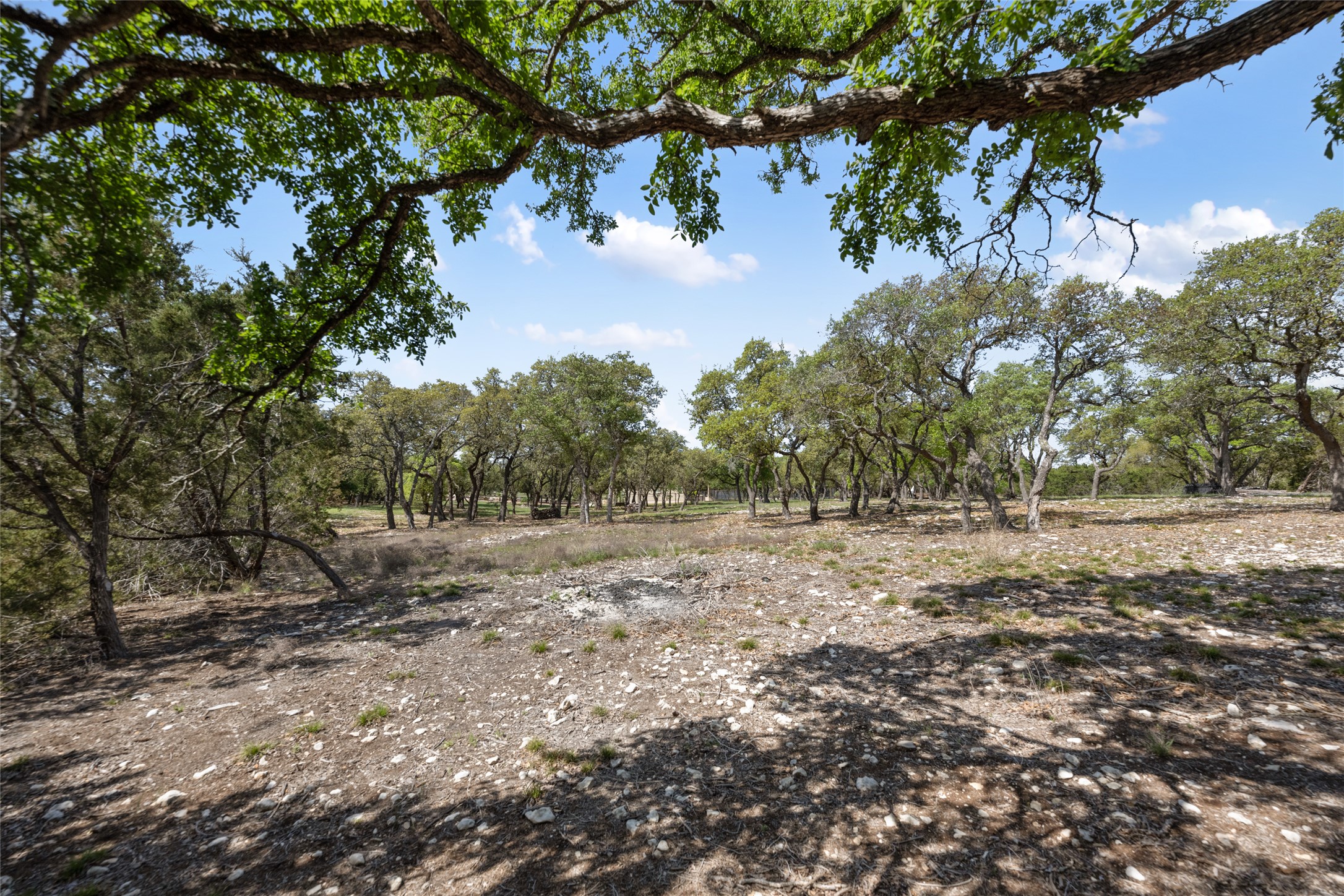 332 First Down Dash Burnet, TX 78611 - Photo 22 of 25 a big yard with lots of green space
