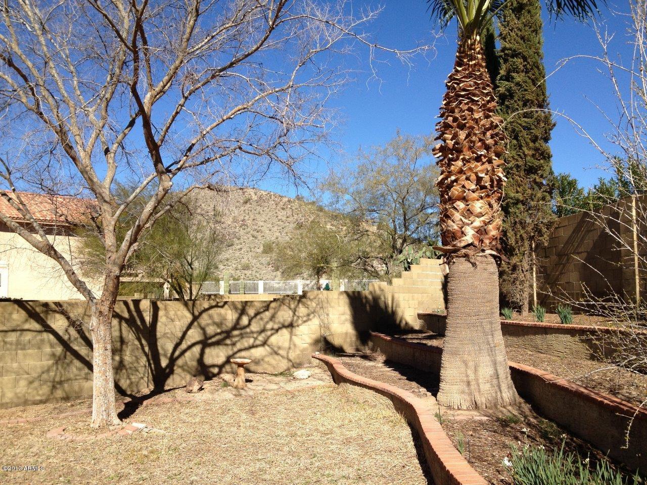 4342 East Corral Road Phoenix, AZ 85044 - Photo 14 of 15 IMG_0335