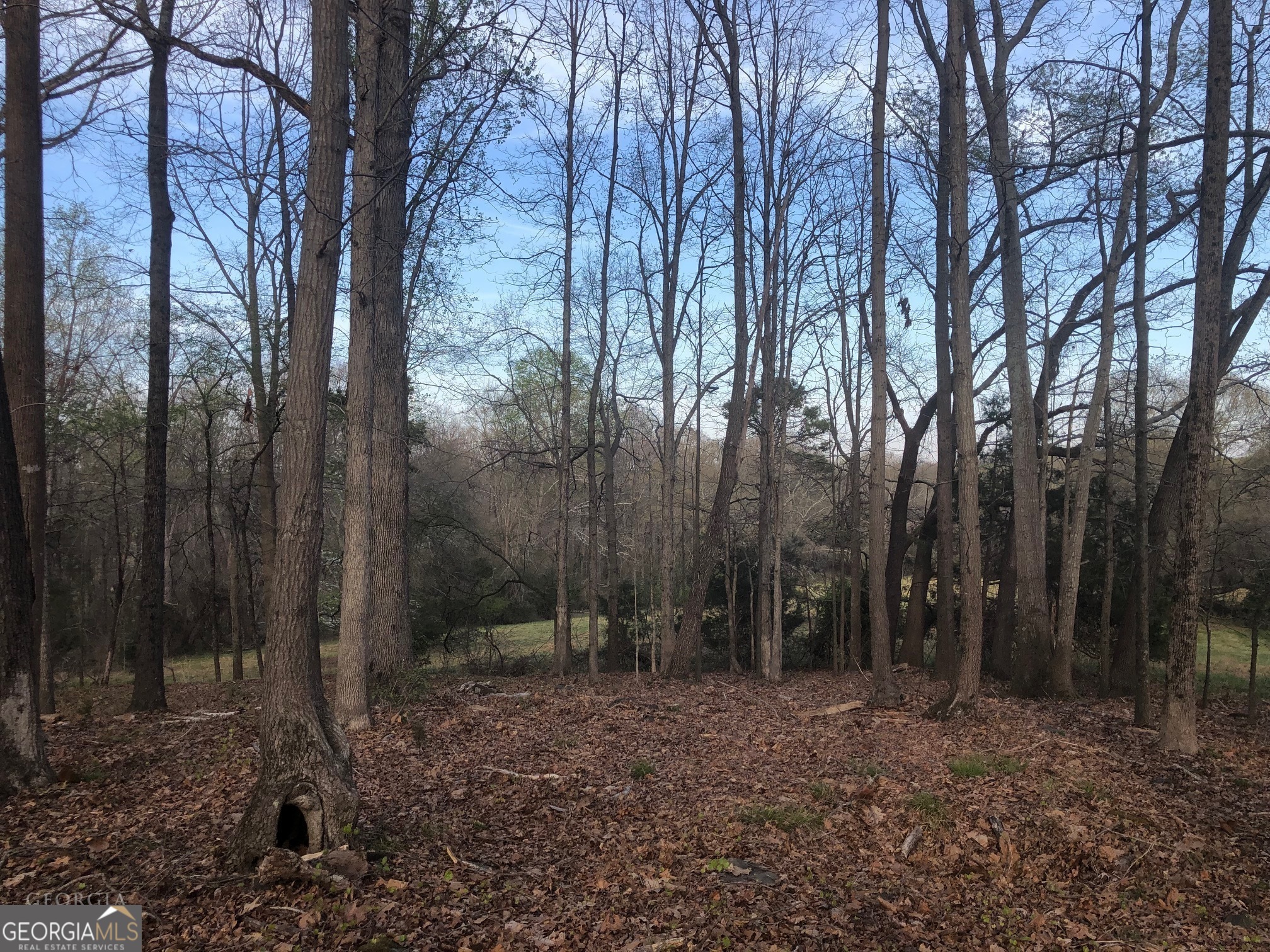 840 Haggard Road Commerce, GA 30529 - Photo 13 of 23 a view of outdoor space with lots of trees