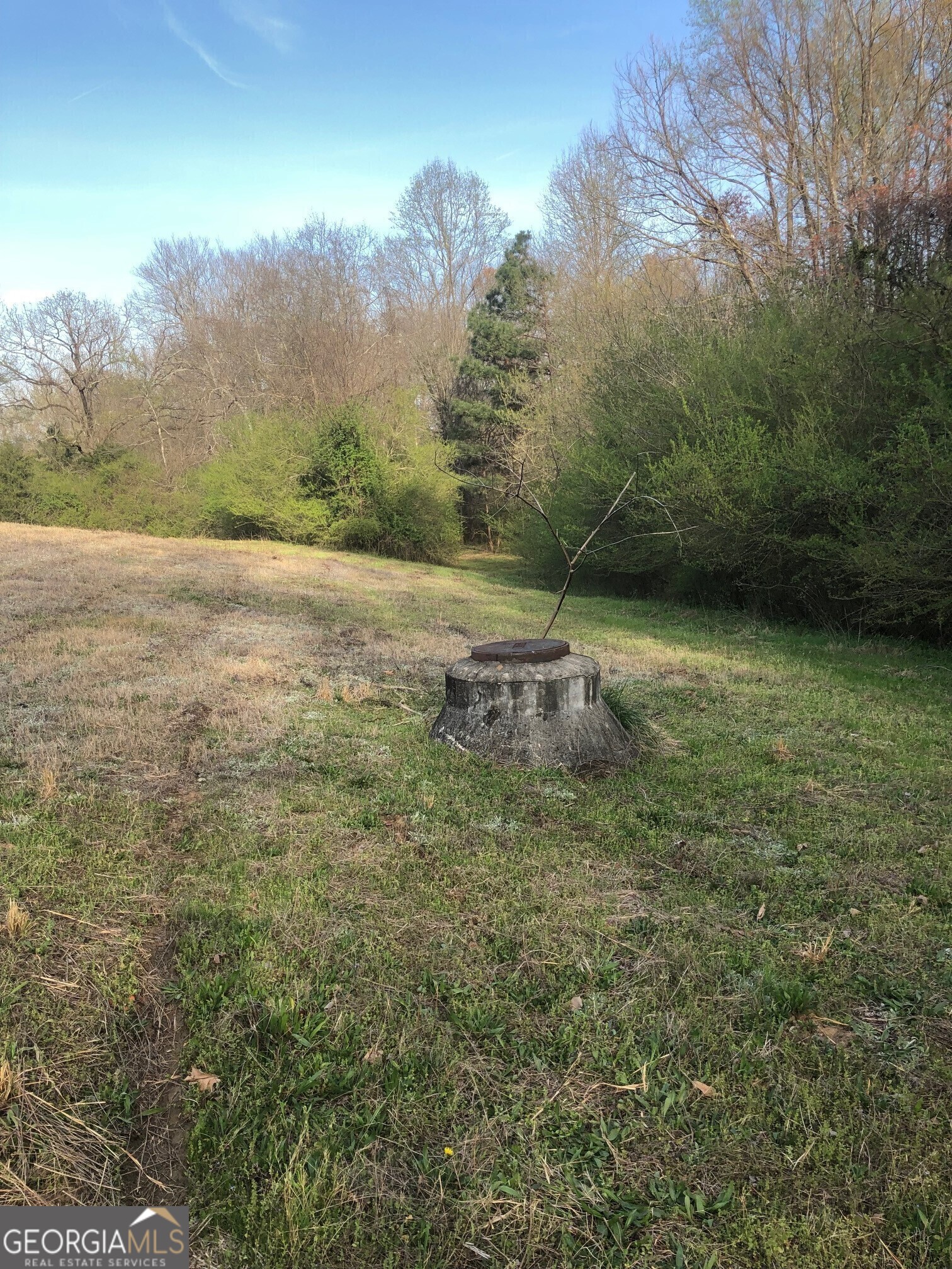 840 Haggard Road Commerce, GA 30529 - Photo 8 of 23 a view of a field with an trees