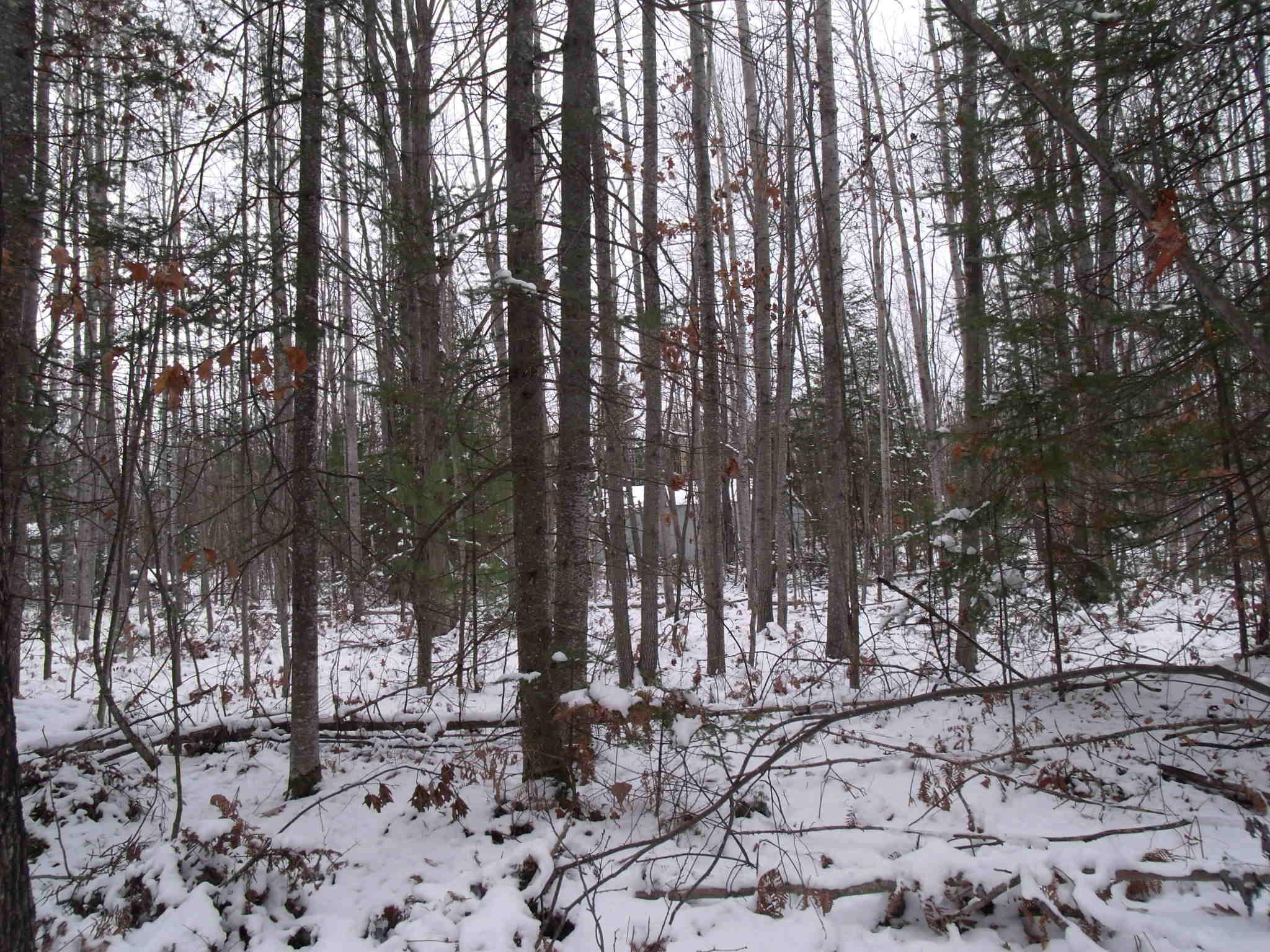 4100 Long Lake Road Cheboygan, MI 49721 - Photo 21 of 28 GEDC3927