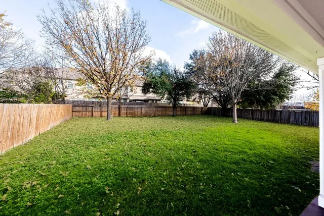 a view of a yard with a large trees