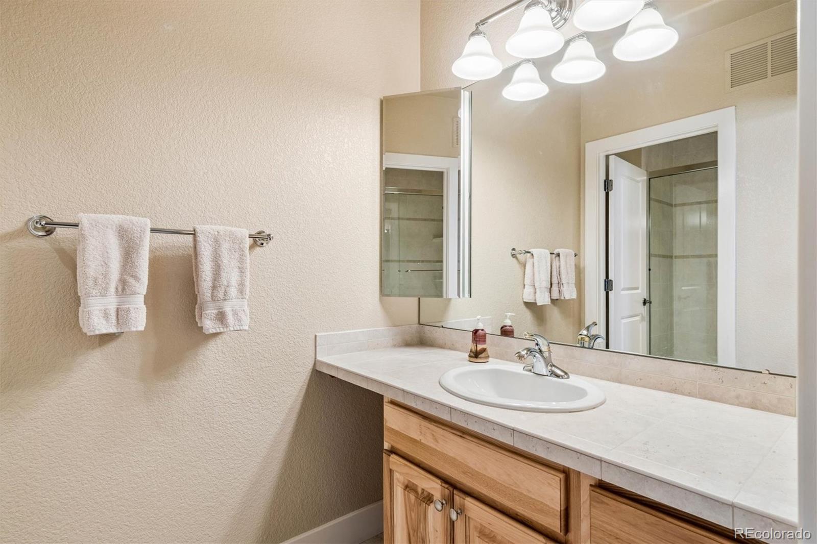 3959 Serenade Road Castle Rock, CO 80104 - Photo 31 of 50 a sink and a mirror