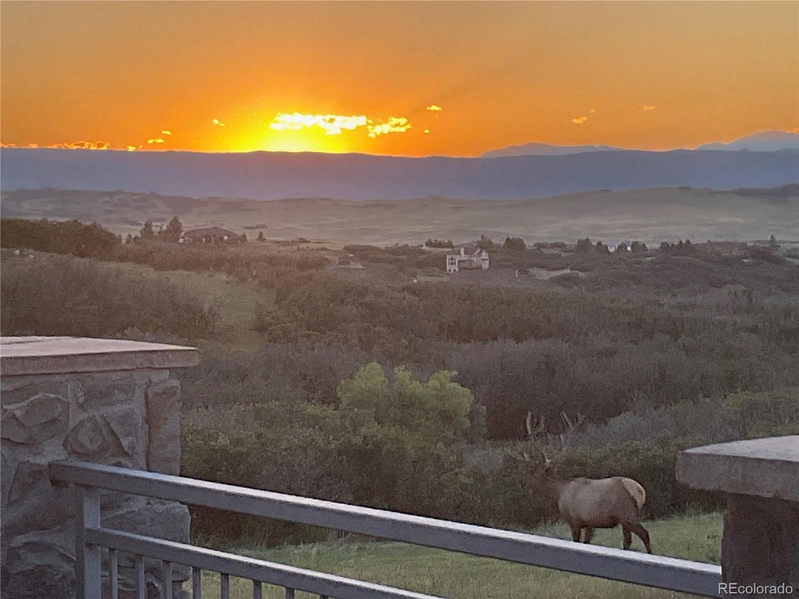 3959 Serenade Road Castle Rock, CO 80104 - Photo 6 of 50 a view of a small yard and mountain view in back
