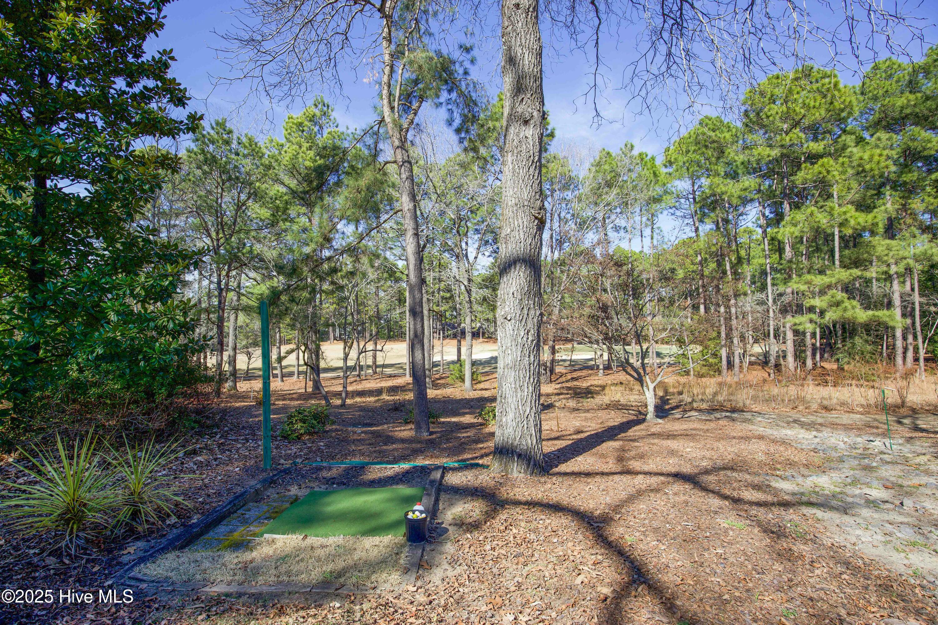 12 Lochdon Court Pinehurst, NC 28374 - Photo 56 of 65 Putting Green