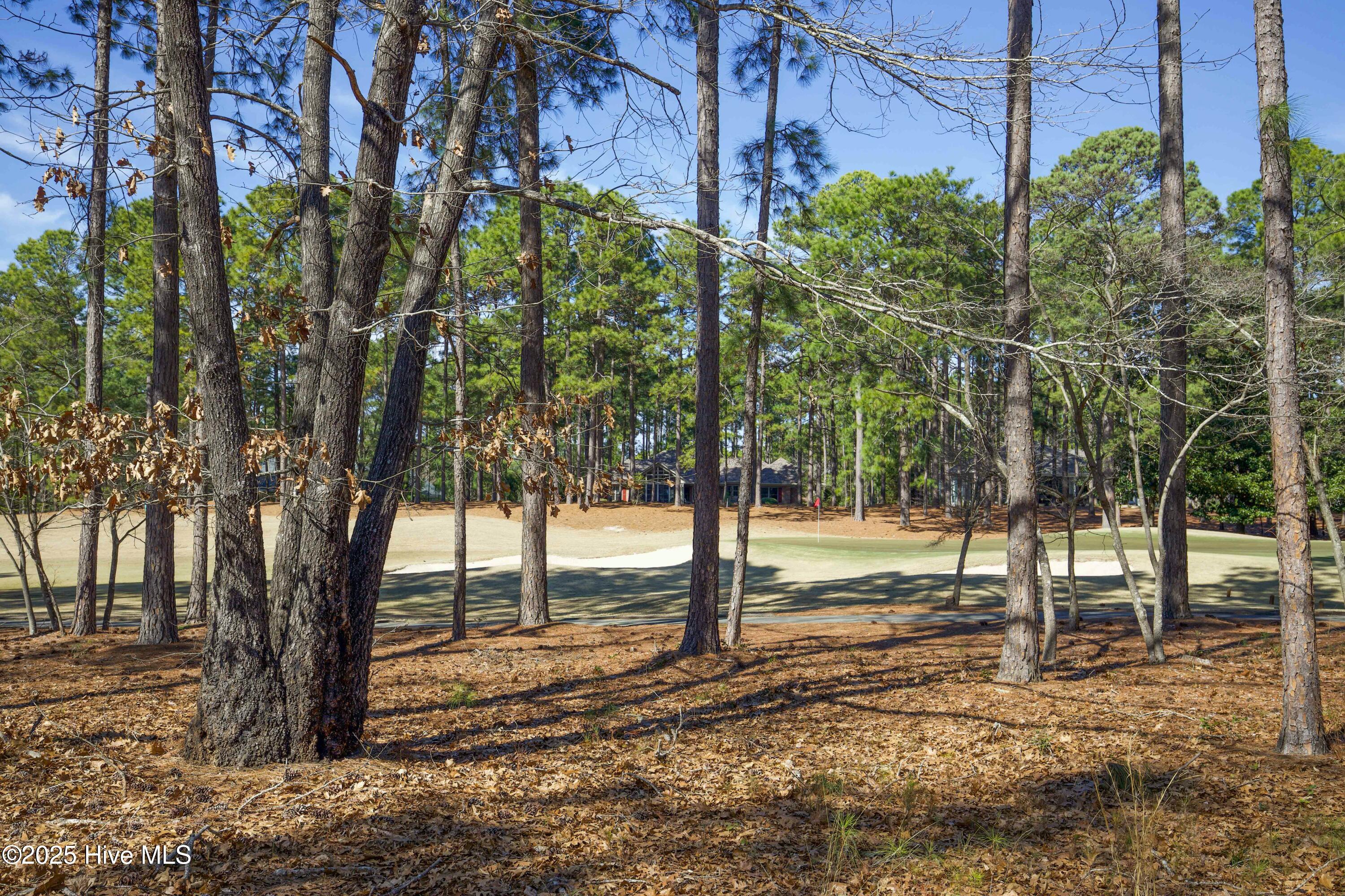 12 Lochdon Court Pinehurst, NC 28374 - Photo 57 of 65 Back Yard
