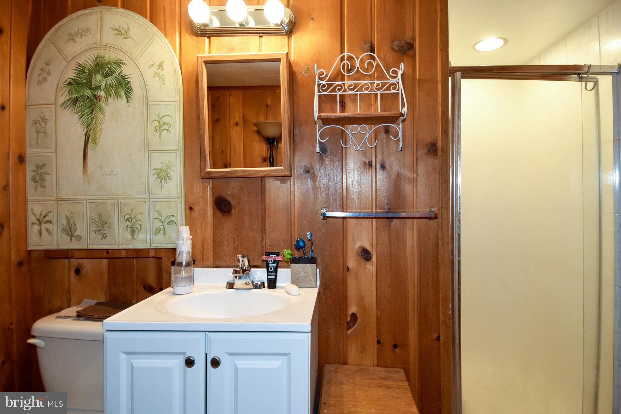 3531 Greenly Street Silver Spring, MD 20906 - Photo 25 of 34 Lower Level Full Bath