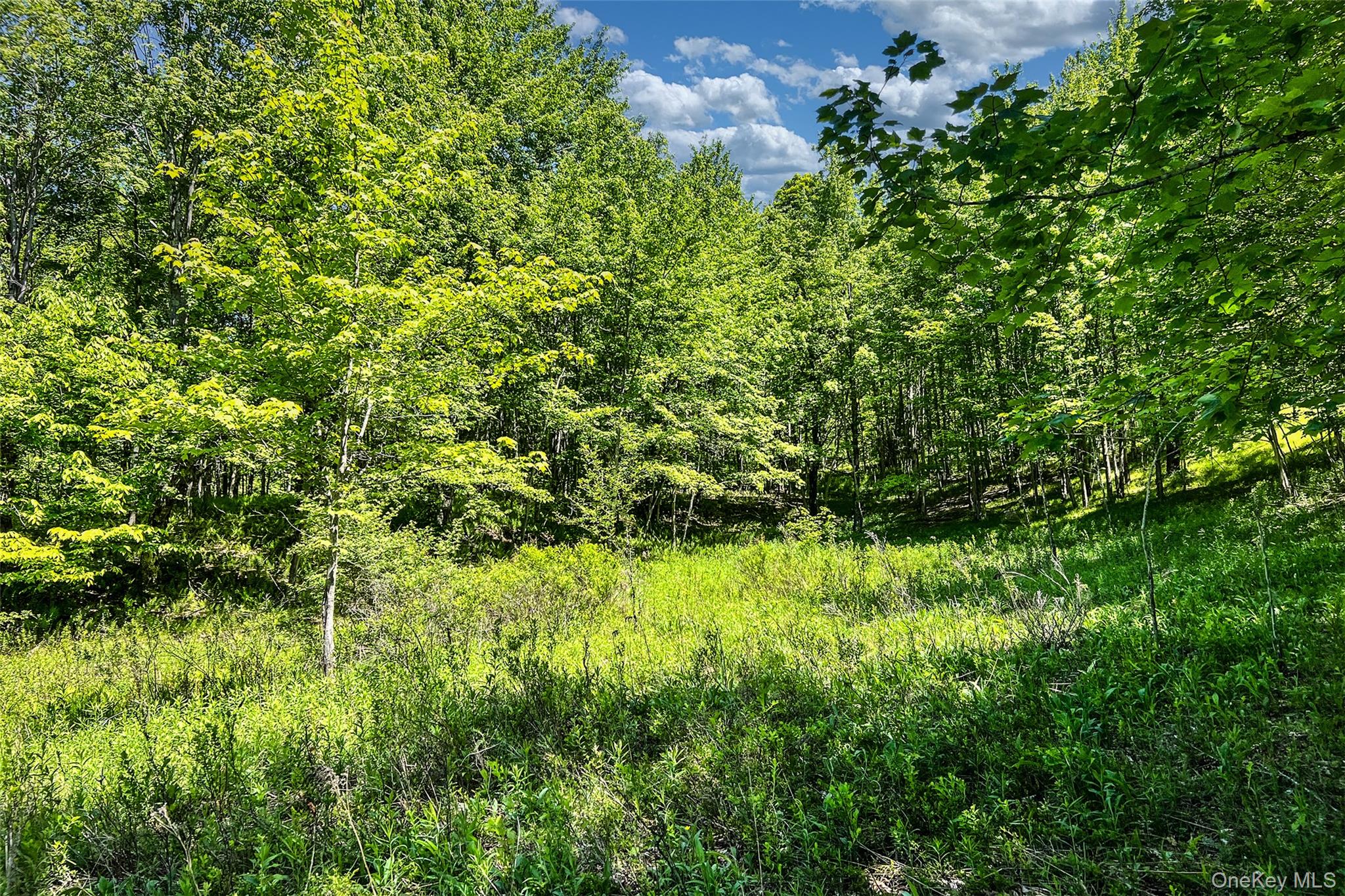 26 Federal Hill 2 Road Delhi, NY 13753 - Photo 14 of 50