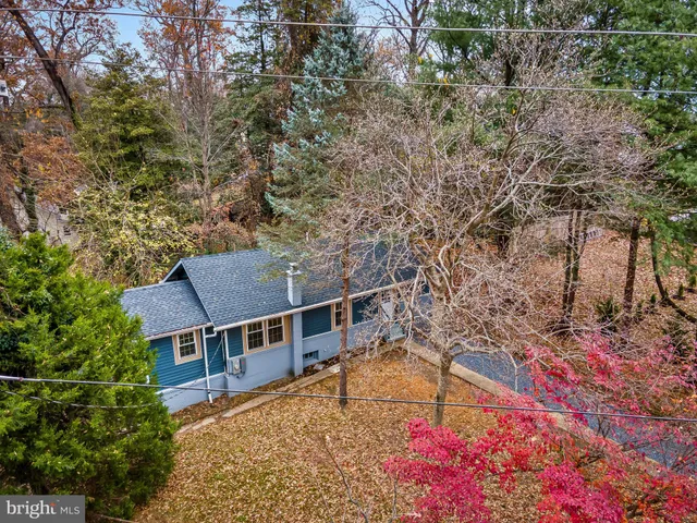 front view of house with a tree
