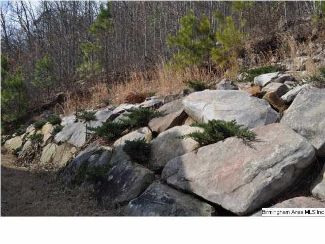1826 Chandler Mountain Road Steele, AL 35987 - Photo 17 of 24