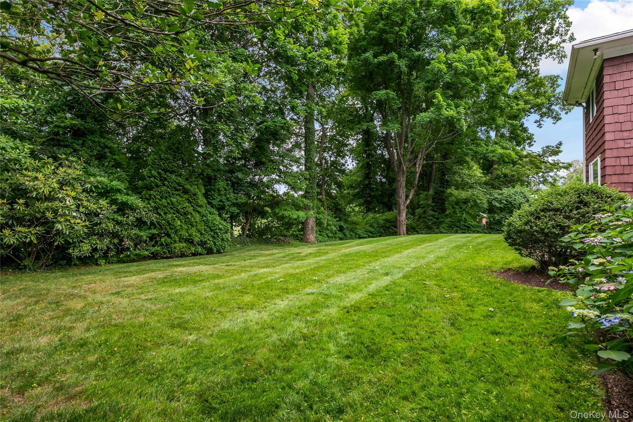 16 Meadow Road Scarsdale, NY 10583 - Photo 35 of 47 a view of a grassy field with trees