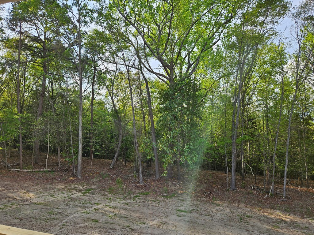 6515 Mill House Road Sumter, SC 29154 - Photo 6 of 21 Photo 6