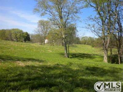 3937 Hopewell Road Culleoka, TN 38451 - Photo 5 of 13 Gallery Image 5