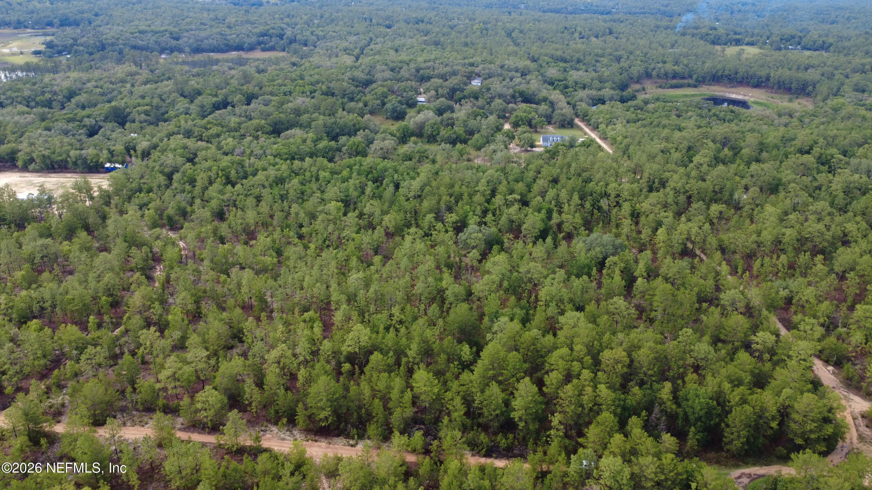 0 Windy Hills Road Hawthorne, FL 32640 - Photo 3 of 4 DJI_0434
