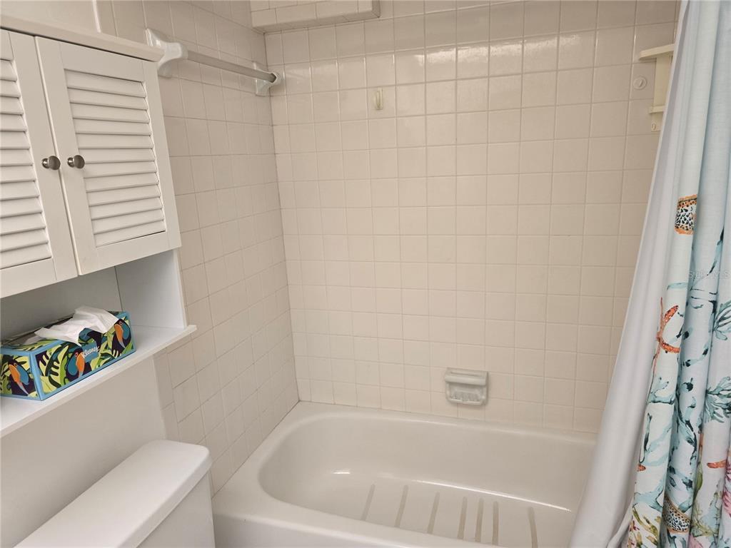 411 South Bayshore Boulevard, Unit 1 Safety Harbor, FL 34695 - Photo 17 of 30 a bathroom with a bathtub and a shower