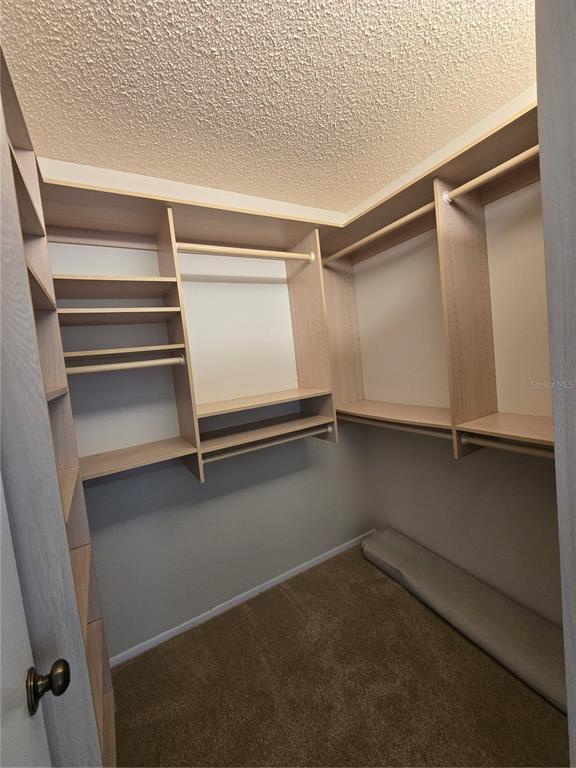 411 South Bayshore Boulevard, Unit 1 Safety Harbor, FL 34695 - Photo 21 of 30 a view of an empty walk in closet