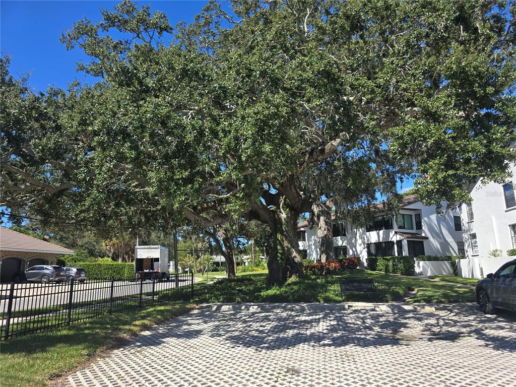 411 South Bayshore Boulevard, Unit 1 Safety Harbor, FL 34695 - Photo 28 of 30 a view of a bench in a backyard