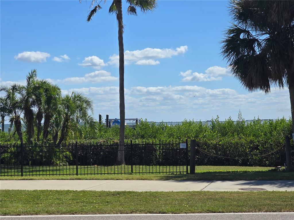 411 South Bayshore Boulevard, Unit 1 Safety Harbor, FL 34695 - Photo 29 of 30 a view of a yard