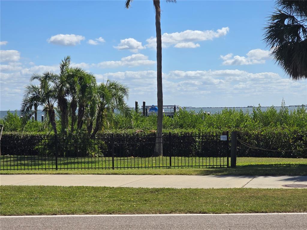 411 South Bayshore Boulevard, Unit 1 Safety Harbor, FL 34695 - Photo 30 of 30 a view of a yard