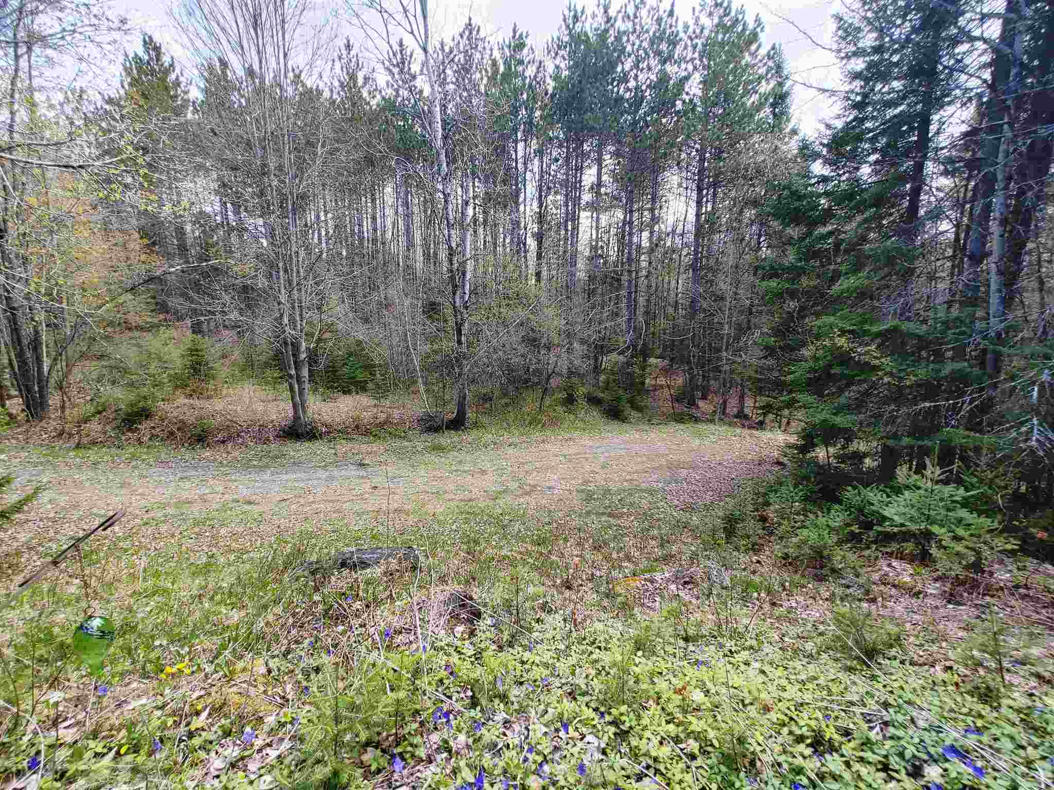 1119 Weir Road Williamstown, VT 05679 - Photo 5 of 22