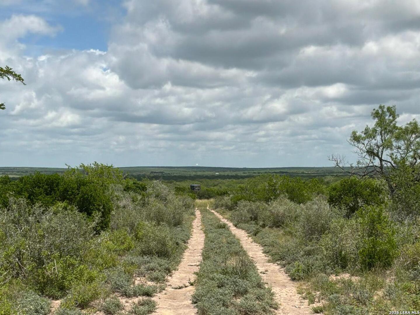 0 Off Highway Freer, TX 78357 - Photo 2 of 8