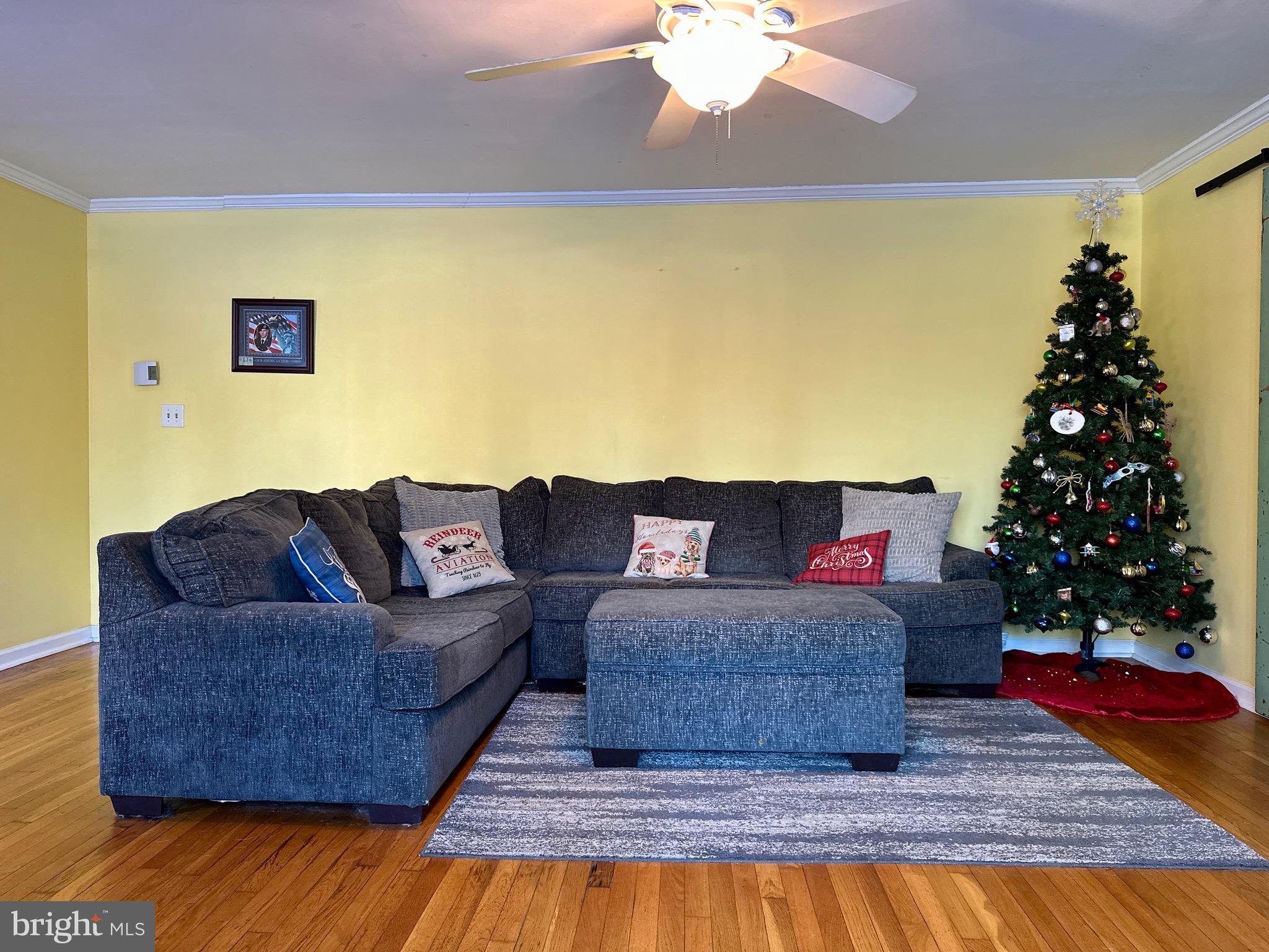 3675 Seaman Road Preston, MD 21655 - Photo 17 of 35 a living room with furniture and a christmas tree