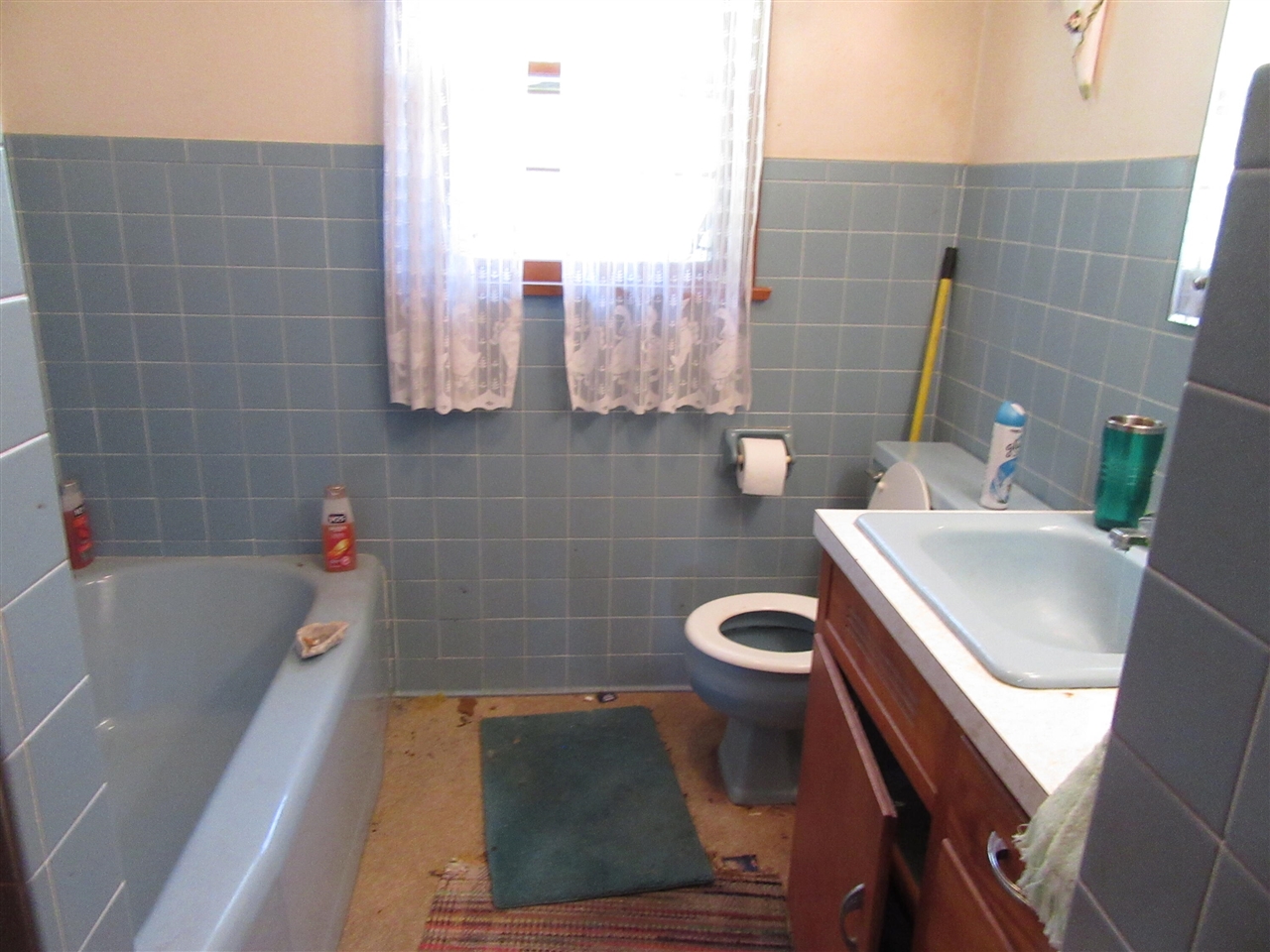 8973 Gast Road Bridgman, MI 49106 - Photo 9 of 12