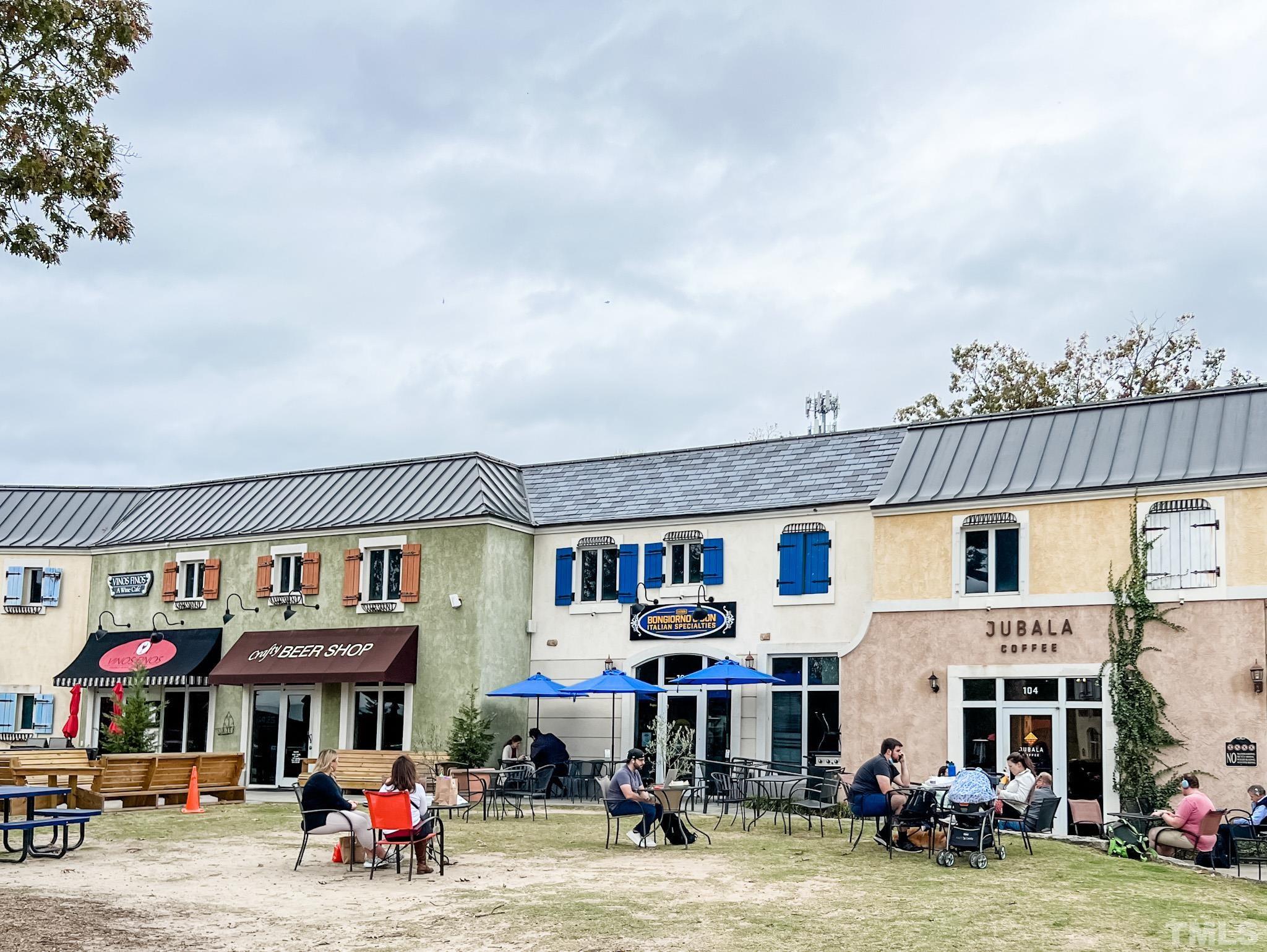 8313 Rue Cassini Court Raleigh, NC 27615 - Photo 3 of 74