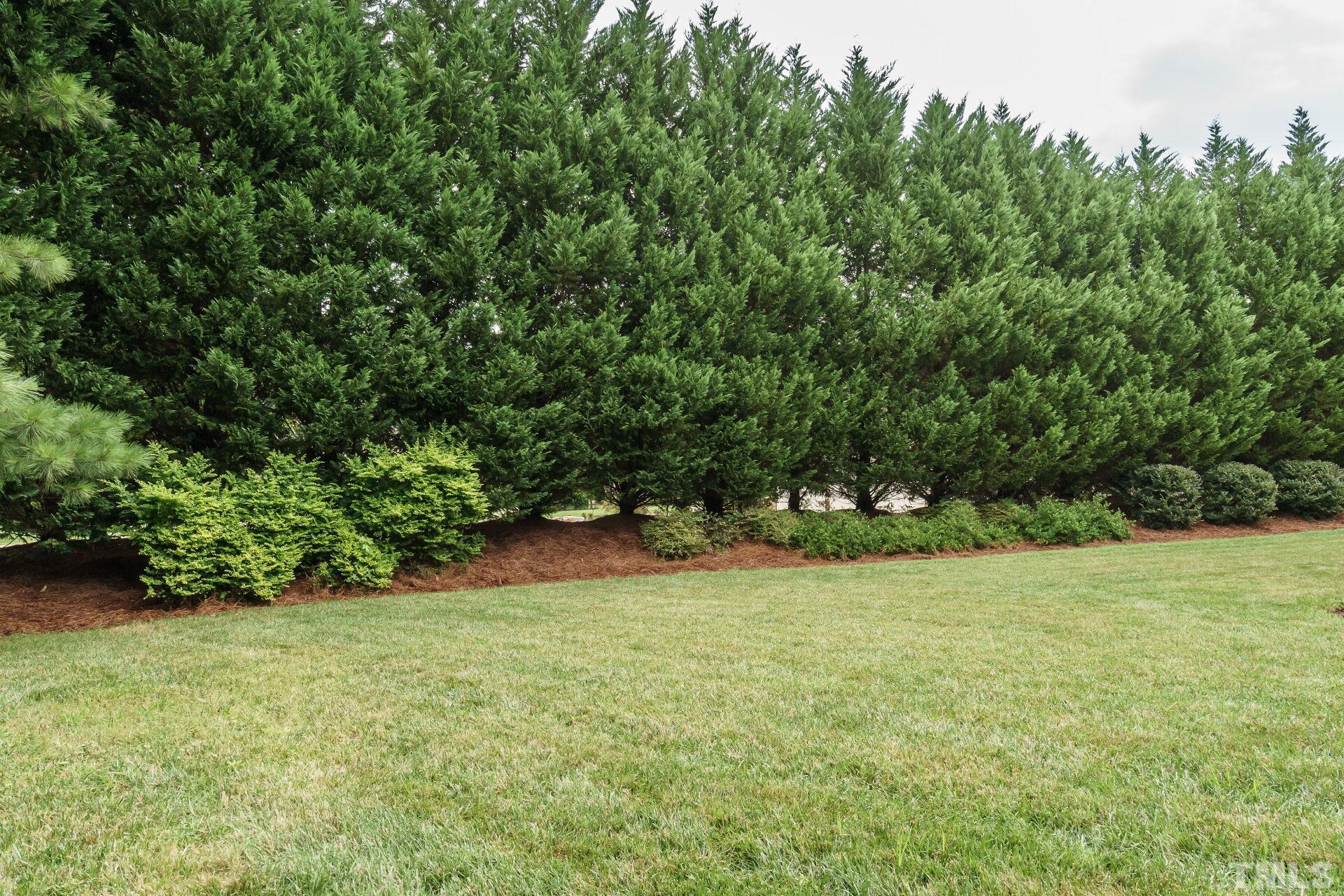 8313 Rue Cassini Court Raleigh, NC 27615 - Photo 56 of 74 a view of patio and yard