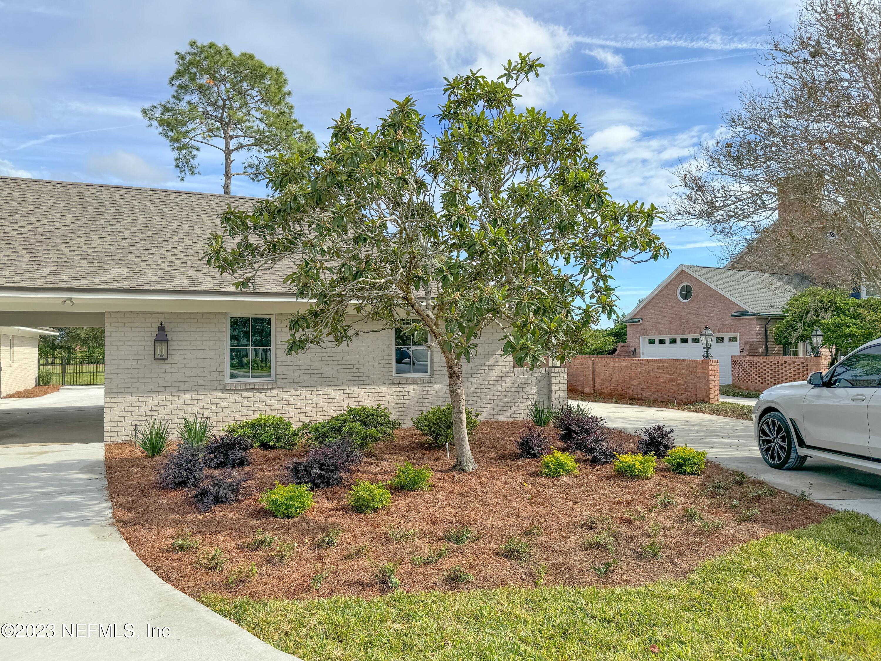 8165 Hollyridge Road Jacksonville, FL 32256 - Photo 3 of 29 New landscaping