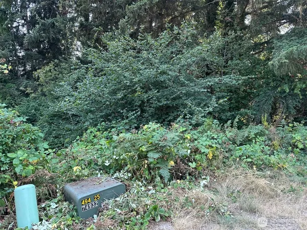 an outdoor space with lots of trees