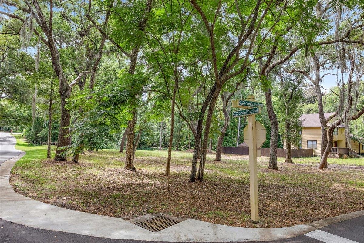701 Camelia Trail St. Augustine, FL 32086 - Photo 1 of 16 a view of a tree in a park