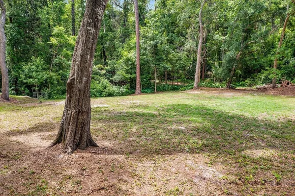 a view of a field with a tree