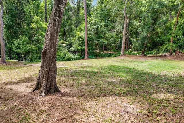 a view of a field with a tree