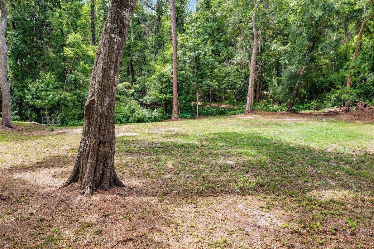701 Camelia Trail St. Augustine, FL 32086 - Photo 14 of 16 a view of a field with a tree