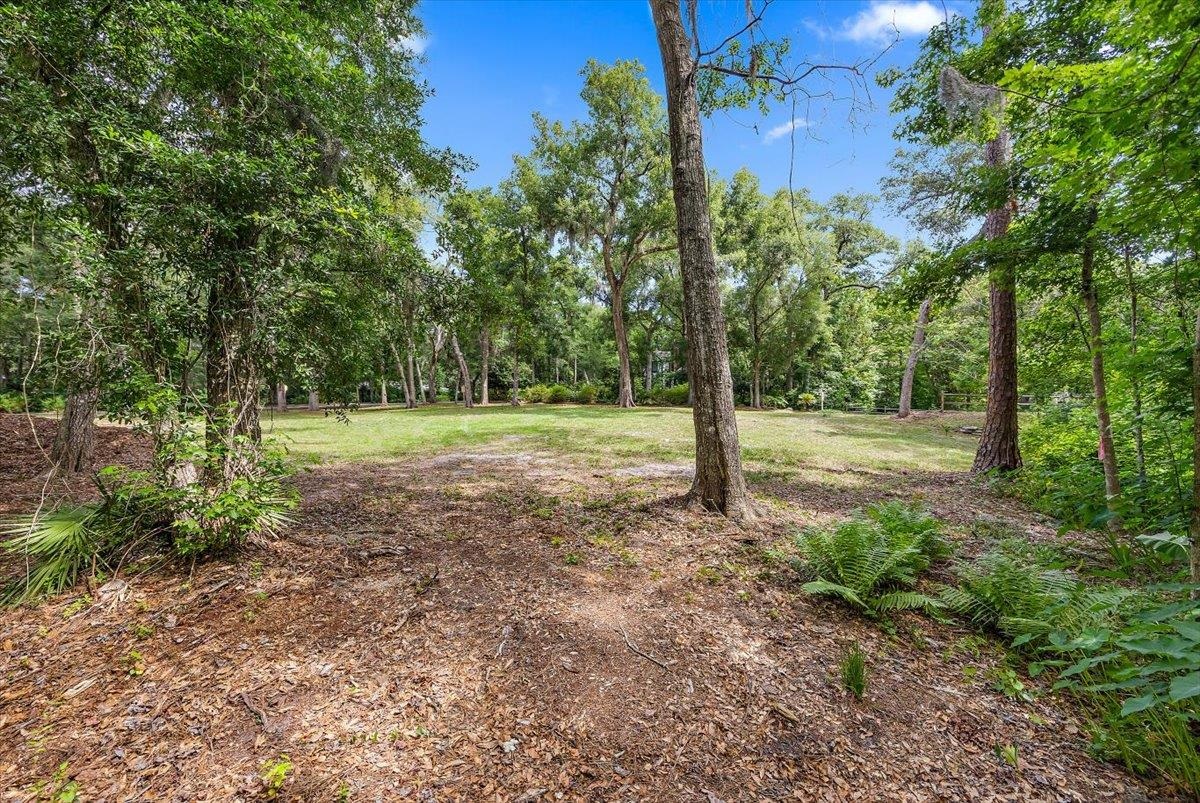701 Camelia Trail St. Augustine, FL 32086 - Photo 16 of 16 a view of a park with trees in the background