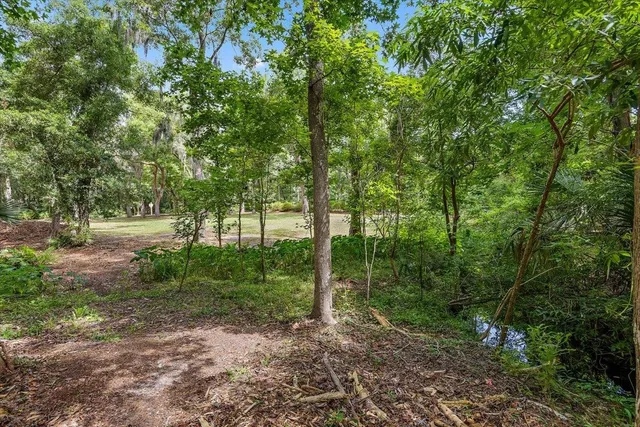 a view of outdoor space and tree