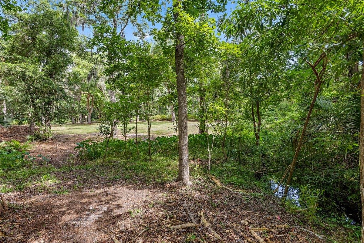 701 Camelia Trail St. Augustine, FL 32086 - Photo 4 of 16 a view of outdoor space and tree