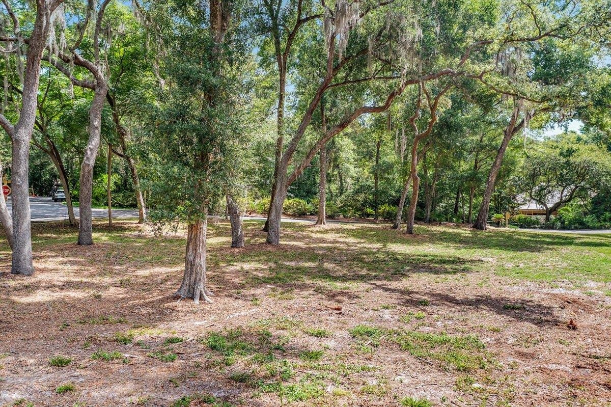 701 Camelia Trail St. Augustine, FL 32086 - Photo 6 of 16 a view of a tree in the middle of a yard